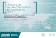 El Servicio de Contratación Pública Internacional de ACC1Ó EUROSHARE PROJECT – AL-INVEST IV (Brasil) Visita de estudio: “Apoyo a la Internacionalización