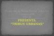 PRESENTA “TRIBUS URBANAS”. Una tribu urbana es un grupo de gente que se comporta de acuerdo a las ideologías de una subcultura, que se origina y se desarrolla