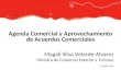 Agenda Comercial y Aprovechamiento de Acuerdos Comerciales Magali Silva Velarde-Alvarez Ministra de Comercio Exterior y Turismo 1 de julio 2014