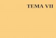 TEMA VII. Consideraciones generales Diseño de bloques de grupos al azar Modelo estructural y componentes de variación. Modelo aditivo y no-aditivo DISEÑOS
