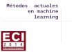Métodos actuales en machine learning. Pablo M. Granitto Dr. en Física Docente FCEIA – UN Rosario Investigadador en CIFASIS (CONICET) Lucas C. Uzal Dr