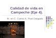 Calidad de vida en Campeche (Eje 4). M. en C. Carlos A. Poot Delgado