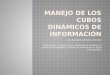Ing. Evangelina Morales Carmona Capacitación y Asistencia en el Desarrollo de Sistemas de Información Geográfica y Análisis de Información en Salud y Demográfica