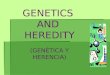 GENETICS AND HEREDITY (GENÉTICA Y HERENCIA) GENÉTICA Y HERENCIA   genes que se encuentran en los cromosomas en el núcleo de una célula, el código para