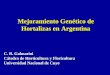 Mejoramiento Genético de Hortalizas en Argentina C. R. Galmarini Cátedra de Horticultura y Floricultura Universidad Nacional de Cuyo