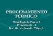 PROCESAMIENTO TÉRMICO Tecnología de Frutas I Trimestre 08 – I Dra. Ma. de Lourdes Yáñez L