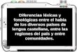 Diferencias léxicas y fonológicas entre el habla de los diversos países de lengua castellana, entre las regiones del país y entre comunidades