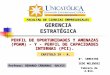 PERFIL DE OPORTUNIDADES Y AMENAZAS (POAM) - Y - PERFIL DE CAPACIDADES INTERNAS (PCI). CAPITULO IV - A. Profesor: GERARDO CÁRDENAS GALVIS FACULTAD DE CIENCIAS