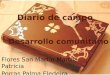 Diario de campo Flores San Martín Martha Patricia Porras Palma Eledeira Desarrollo comunitario