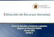 Dirección de Recursos Humanos Centro de Estudios y Asistencia Legislativa Magíster en Dirección Pública Versión 2012 Sesión 2
