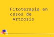 1 Fitoterapia en casos de Artrosis. 2 Artrosis Afección crónica degenerativa de las articulaciones caracterizada por las destrucciones cartilaginosas