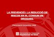 LA PREVENCIÓ I LA REDUCCIÓ DE RISCOS EN EL CONSUM DE DROGUES Presentació Cocaonline 2008