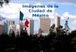 Imágenes de la Ciudad de México Zócalo El Angel de la Independencia. la Independencia