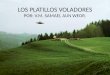 LOS PLATILLOS VOLADORES POR: V.M. SAMAEL AUN WEOR