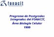 Programa de Postgrados Integrados del FONACIT, Área Biología Celular 1999