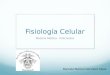 Fisiología Celular Materia Médica - Policrestos Marcelo Rubicel González Salas