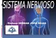 Tejido Nervioso  Neuronas a) Piramidales o de proyección (sensoriales y motoras) b) Estrelladas o interneuronas  Neuroglía a) Astrocitos b) Oligodendrocitos