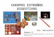 CUERPOS EXTRAÑOS DIGESTIVOS Dra. Bernardita Romero D Becada Gastroenterología y nutrición pediátrica
