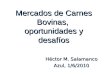 Mercados de Carnes Bovinas, oportunidades y desafíos Héctor M. Salamanco Azul, 1/6/2010
