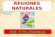 REGIONES NATURALES DE COLOMBIA 1. De acuerdo con el concepto de región, la división más corriente de Colombia es en 6 grandes regiones naturales, como