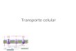 Transporte celular. El transporte celular mueve sustancias dentro de la célula, así como también hacia el interior y el exterior de la misma. Transporte
