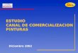 ESTUDIO CANAL DE COMERCIALIZACION PINTURAS Diciembre 2002