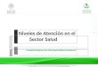 Niveles de Atención en el Sector Salud Hospital Regional de Alta Especialidad Ixtapaluca