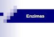 Enzimas. Conceptos básicos  ¿Qué son las enzimas?  ¿Qué parte de las enzimas es la responsable de su especificidad de sustrato?  ¿Sobre qué base se
