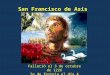 San Francisco de Asís Falleció el 3 de octubre de 1226 Se de festeja el día 4