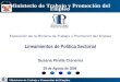 Ministerio de Trabajo y Promoción del Empleo Exposición de la Ministra de Trabajo y Promoción del Empleo Lineamientos de Política Sectorial Susana Pinilla
