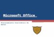 Microsoft Office Procesamiento Electrónico de Datos