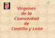 Vírgenes de la Comunidad de Castilla y León JCA - 2012