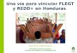 Una vía para vincular FLEGT y REDD+ en Honduras Avilio Álvarez y Filippo Del Gatto Pre Congreso Forestal Comunitario San Pedro Sula, Honduras, 24-25 septiembre