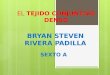 EL TEJIDO CONJUNTIVO DENSO BRYAN STEVEN RIVERA PADILLA SEXTO A
