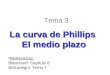 Tema 3 La curva de Phillips El medio plazo Referencias: Blanchard: Capítulo 8 Belzunegui: Tema 7