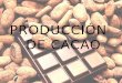 PRODUCCIÓN DE CACAO.  Los principales productores de cacao son los estados de Tabasco, Chiapas, Guerrero y Oaxaca