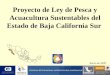 PROGRAMA RECTOR NACIONAL: INCIDENCIA EN BAJA CALIFORNIA SUR Proyecto de Ley de Pesca y Acuacultura Sustentables del Estado de Baja California Sur Enero