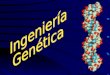APLICACIONES DE LA INGENIERIA GENÉTICA Introducción a la genética Genética Ingeniería Genética Mapa cromosómico del ser humano