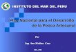 Plan Nacional para el Desarrollo de la Pesca Artesanal INSTITUTO DEL MAR DEL PERU INSTITUTO DEL MAR DEL PERU Por Ing. Ana Medina Cruz Julio, 2006