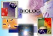 BIOLOG. ALGUNOS CRITERIOS PARA IDENTIFICAR BACTERIAS * Características microscópicas. * Características de crecimiento. * Características bioquímicas