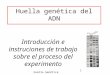 1 Huella genética del ADN Introducción e instruciones de trabajo sobre el proceso del experimento Huella Genética