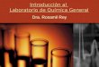 Introducción al Laboratorio de Química General Dra. Rosamil Rey
