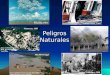 Peligros Naturales Loma Prieta, 1989 San Francisco, 1906  iles/landslides/slides/slide4.htm Mameyes, 1985 Pinatubo, 1991