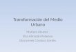 Transformación del Medio Urbano Mariem Alvarez. Elsa Almazán Palacios. Gloria Inés Córdova Cortès