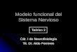 Modelo funcional del Sistema Nervioso Teórico 2 Cát. I de Neurofisiología Tit. Dr. Aldo Ferreres