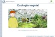 La biología de los vegetales: Ecología vegetal Ecología vegetal Imagen de invernadero de dominio público, autor: Mattes.invernadero