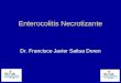 Enterocolitis Necrotizante Dr. Francisco Javier Saitua Doren