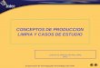 CONCEPTOS DE PRODUCCION LIMPIA Y CASOS DE ESTUDIO CENTRO DE PRODUCCION MAS LIMPIA INTEC