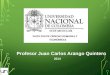2014 Profesor Juan Carlos Arango Quintero. Elementos de escritura para la investigación