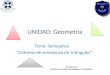 UNIDAD: Geometría Tema: Semejanza “Criterios de semejanza de triángulos” Macarena Fica Estudiante en práctica de Pedagogía en Matemática